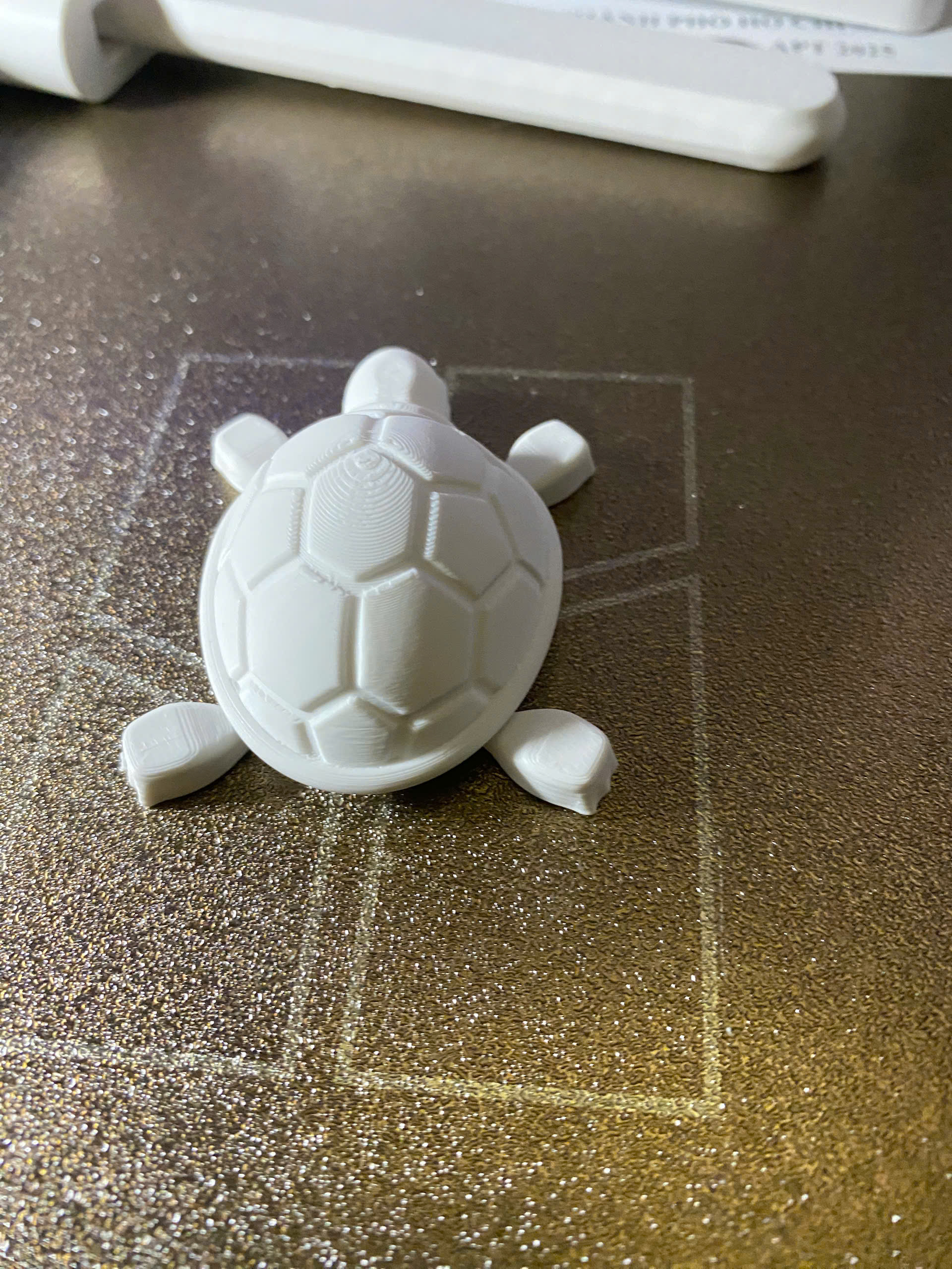 Baby Turtle
